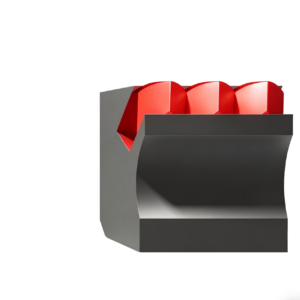 br fm2008